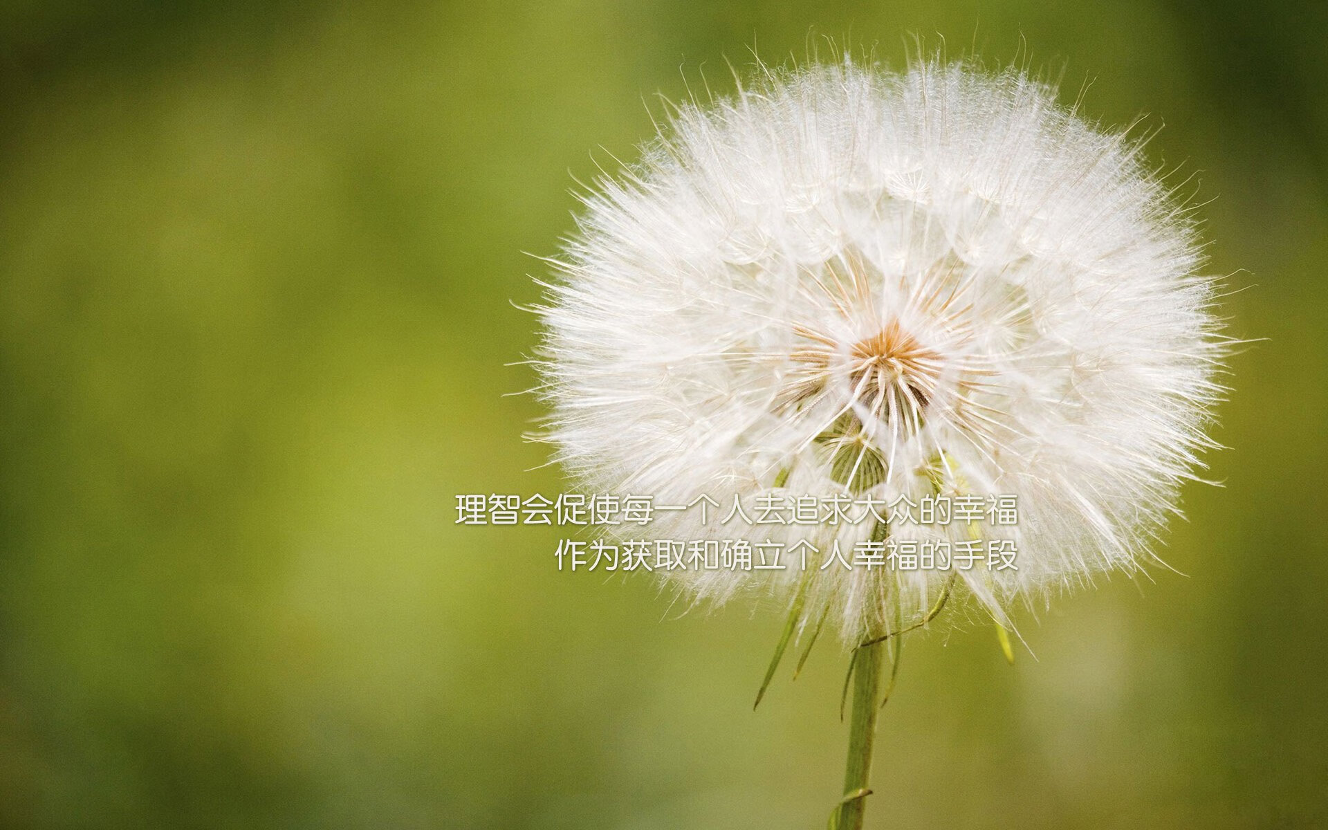 “从泥泞到雪海：震撼全场的极限越野竞技”，泥潭越野车比赛视频