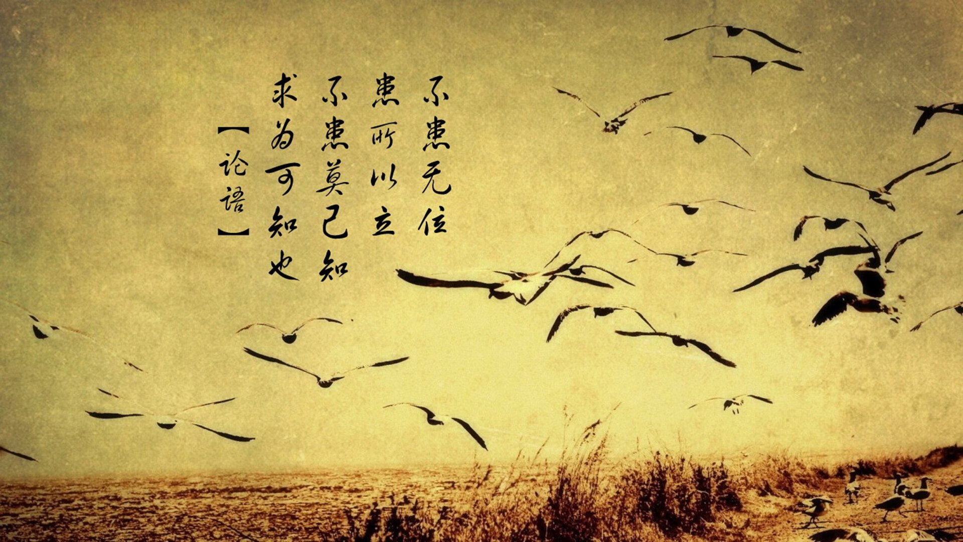 未来空中跑酷：在天际线中纵横驰骋