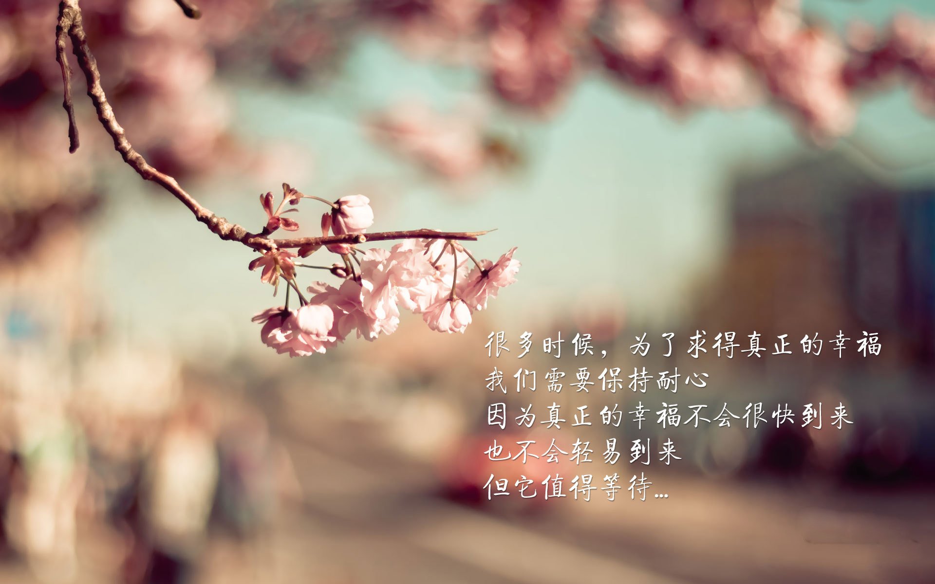 开云网页版-经典“巅峰对决”：让人激情燃烧的篮球盛宴，cba巅峰对决