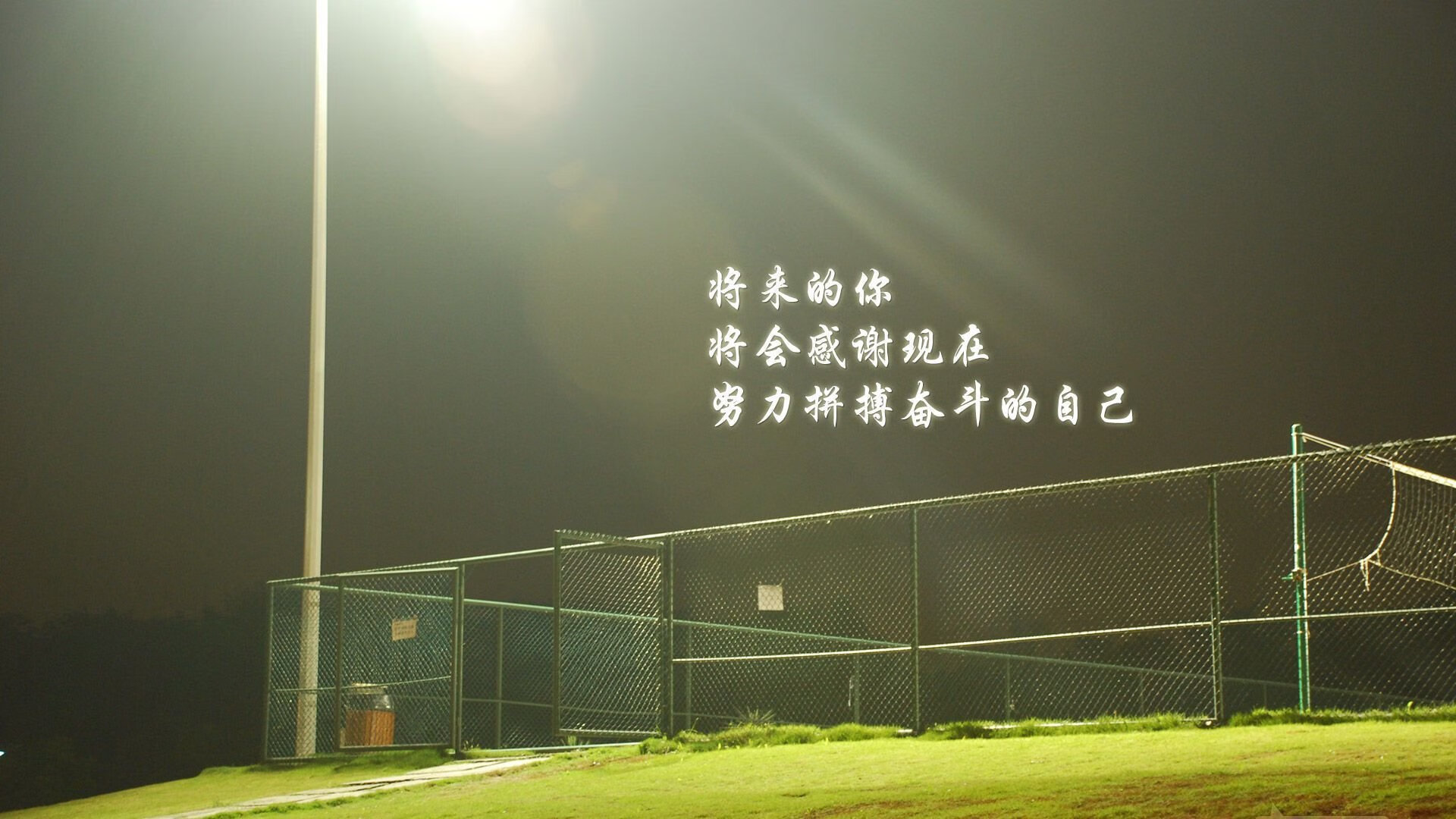 开云·体育官网APP下载-福建豹发力攻防两端表现抢眼，福建豹发力在哪