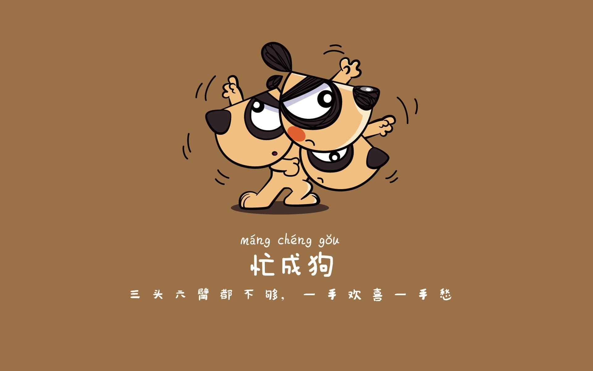 混合泳决赛突尼斯女将持续发力，混合泳夺冠
