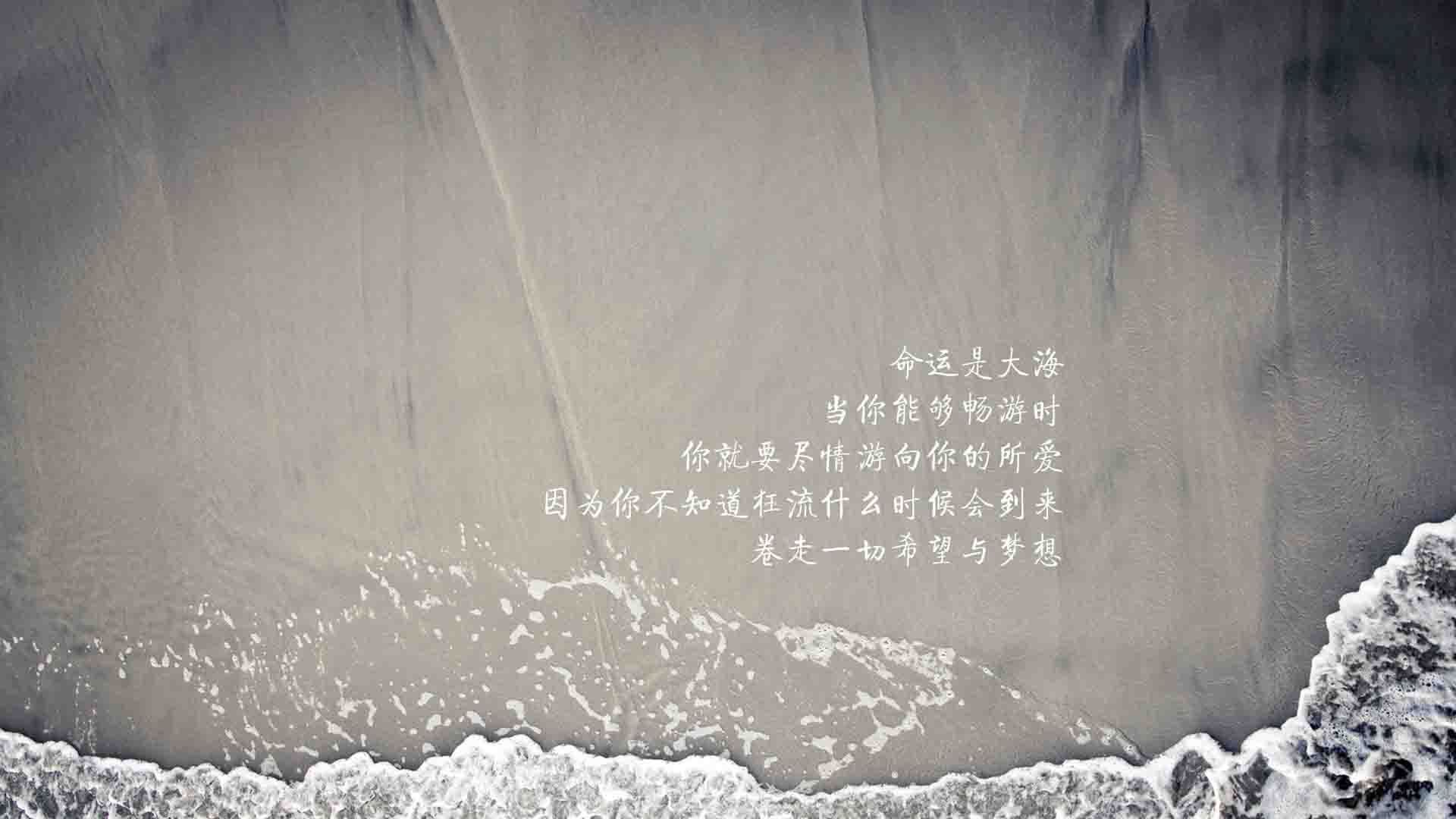 开云·体育官方网站入口-荷兰蛙泳节奏控制极具水准，荷兰游泳奥运冠军